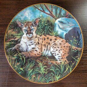 Just Cubs Plate 4 sets Collection by Bobbi Harrington Princeton Gallery